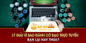 SODO66 lý giải vì sao đánh cờ bạc trực tuyến bạn lại hay thua?