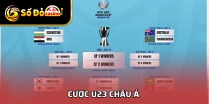 Cược U23 Châu Á - Chiến Thuật Soi Kèo Chuẩn Cho Người Mới