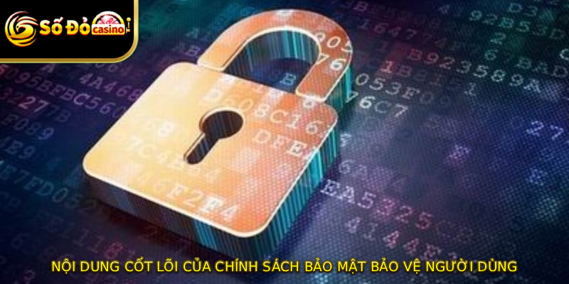 Nội dung cốt lõi của chính sách bảo mật bảo vệ người dùng