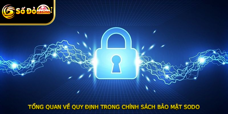 Tổng quan về quy định trong chính sách bảo mật SODO