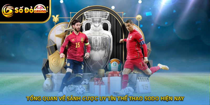 Tổng quan về sảnh cược uy tín thể thao SODO hiện nay