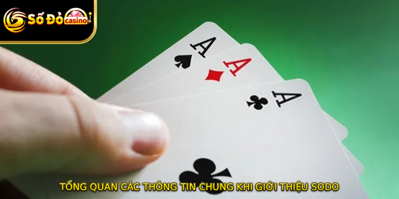 Tổng quan các thông tin chung khi giới thiệu SODO